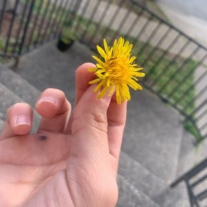 Meet your Posher, Poe